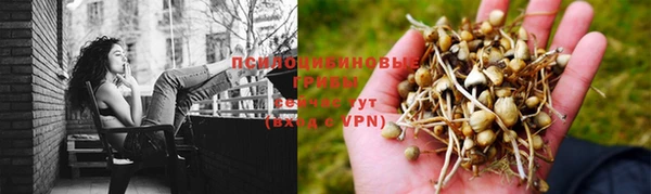 соль курить ск Арсеньев