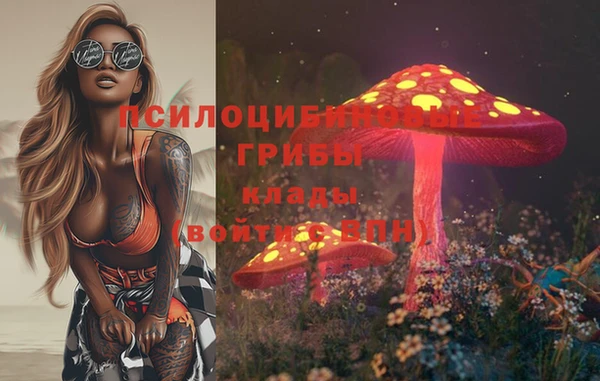 соль курить ск Арсеньев
