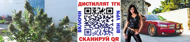 Дистиллят ТГК Wax Брюховецкая