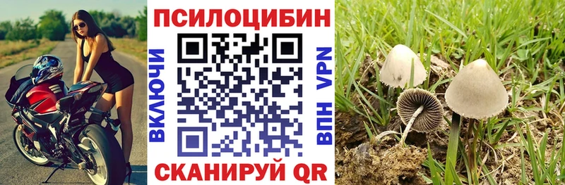 Купить  Брюховецкая  Псилоцибиновые грибы ЛСД 